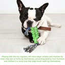 宠物用品新品亚马逊爆款热销狗狗玩具磨牙棒耐咬牙刷狗玩具带绳