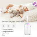 跨境炫彩型加湿器香薰机家用车载usb桌面创意萌宠雾化器humidifier