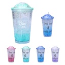 22OZ Double wall gel freezer cup with Lid and Straw