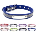 Durable Dog Leash Pet Collar(Size M)