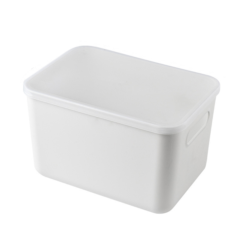 HOB6050 - Home Organization Plastic Storage Box 带盖储物盒 化妆品首饰整