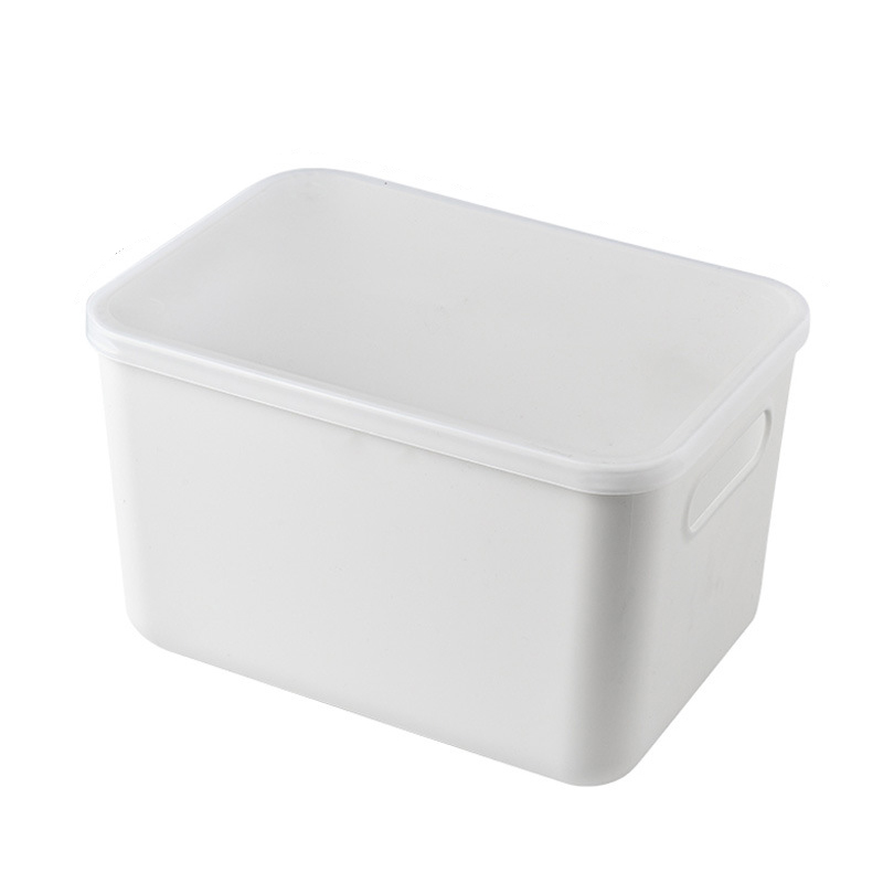 Home Organization Plastic Storage Box  Storage basket With l