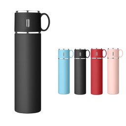 Portable Stainless Steel Water Bottle with Handle