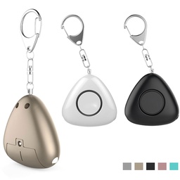 LED Light &amp; Alarm Key Chain
