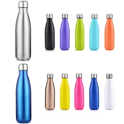 Stainless Steel Vacuum Insulated Bottle - 17 oz Water bottle